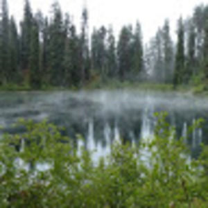 Meet your Posher, Jon